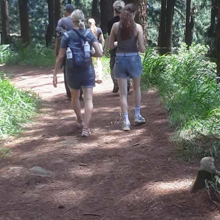 SnS Nature Tours