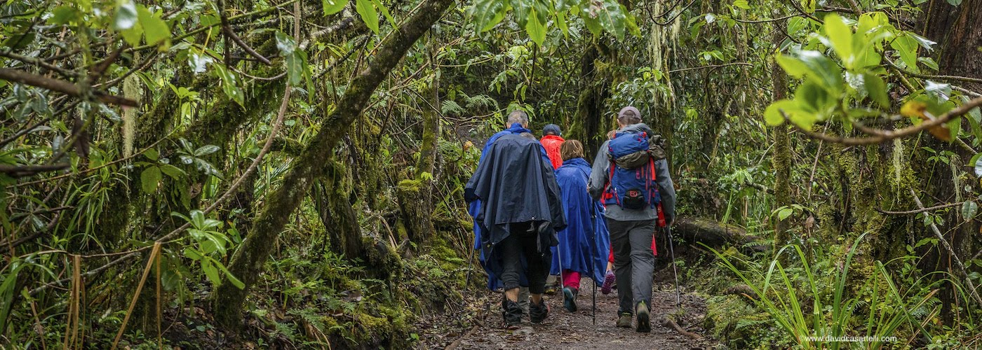 Kilimanjaro Treks by Rocky Africa