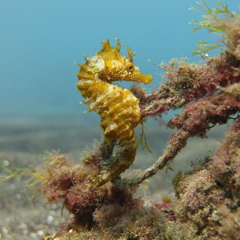 Puerto Rico Diving Centre