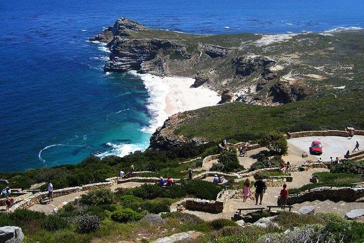 3Days Cape town - Attraction: Crocodile Diving Cage & Cape Point & Wine Tasting