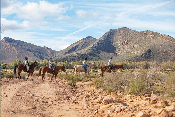 Private - Sunset Big Five Safari Tour in Cape town