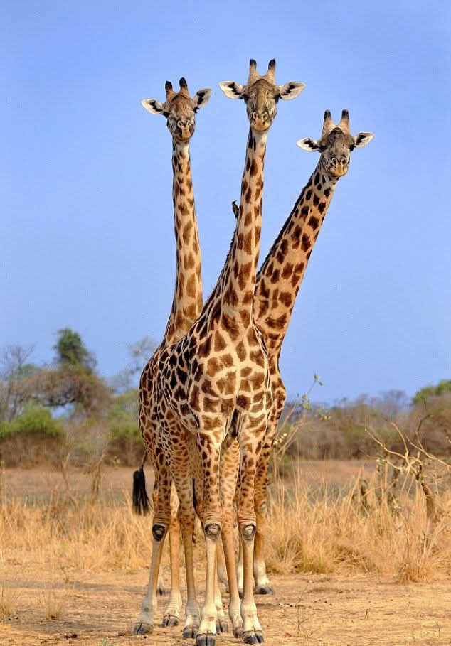 Marangu heritage adventure