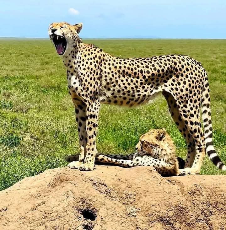 Marangu heritage adventure