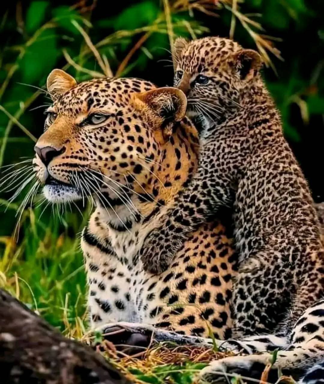 Marangu heritage adventure