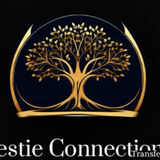 Bestie Connections Transfers