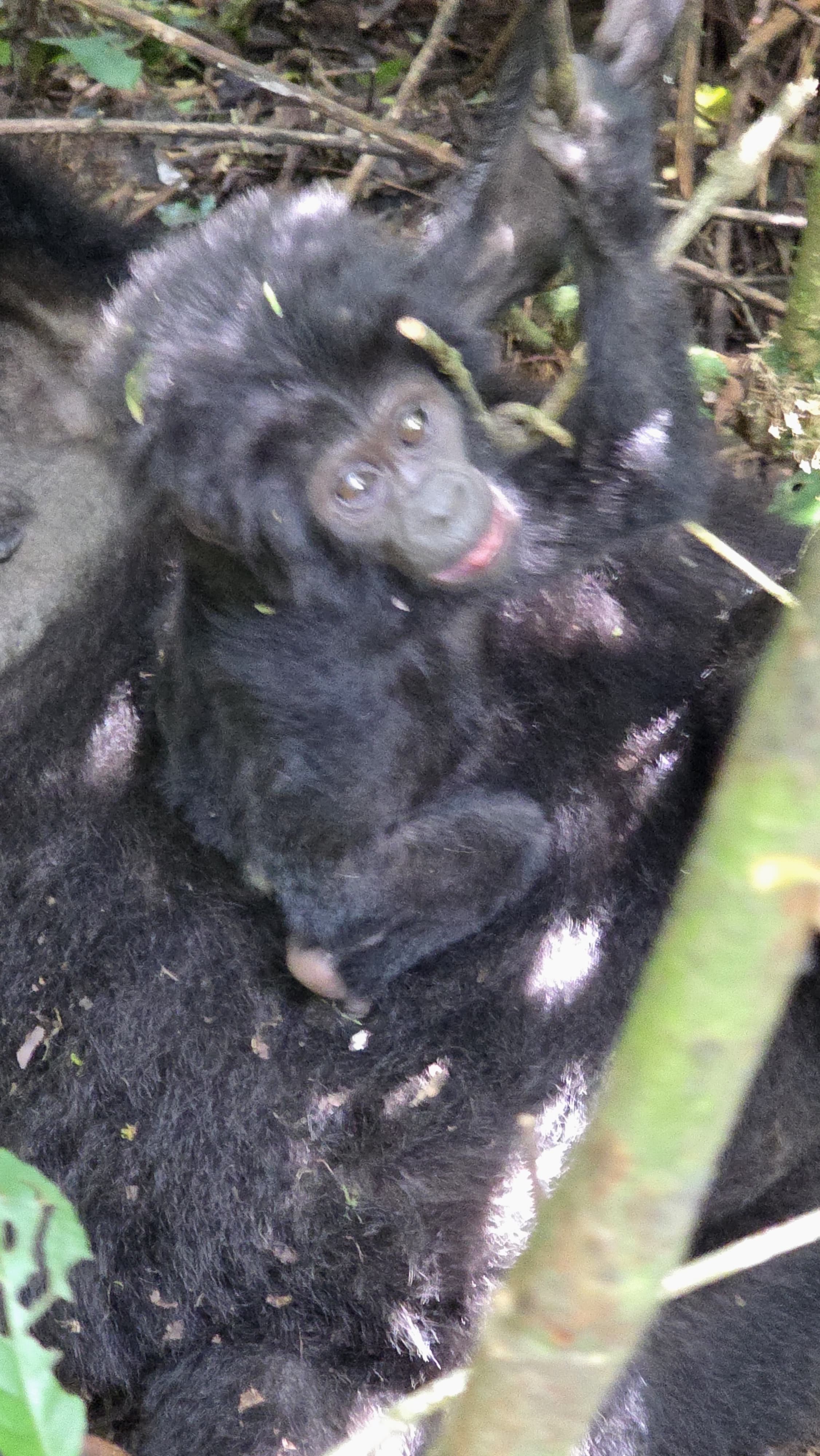 Ujuzi Tours & Travel