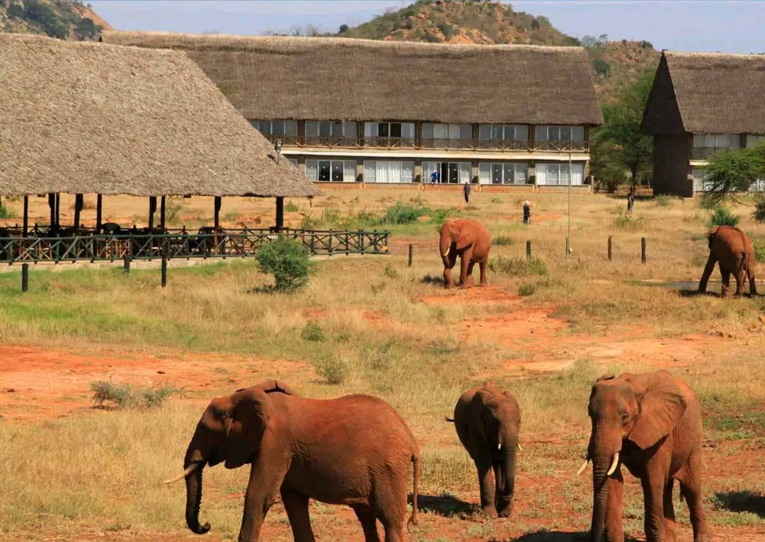 Bensal Tours and Travel