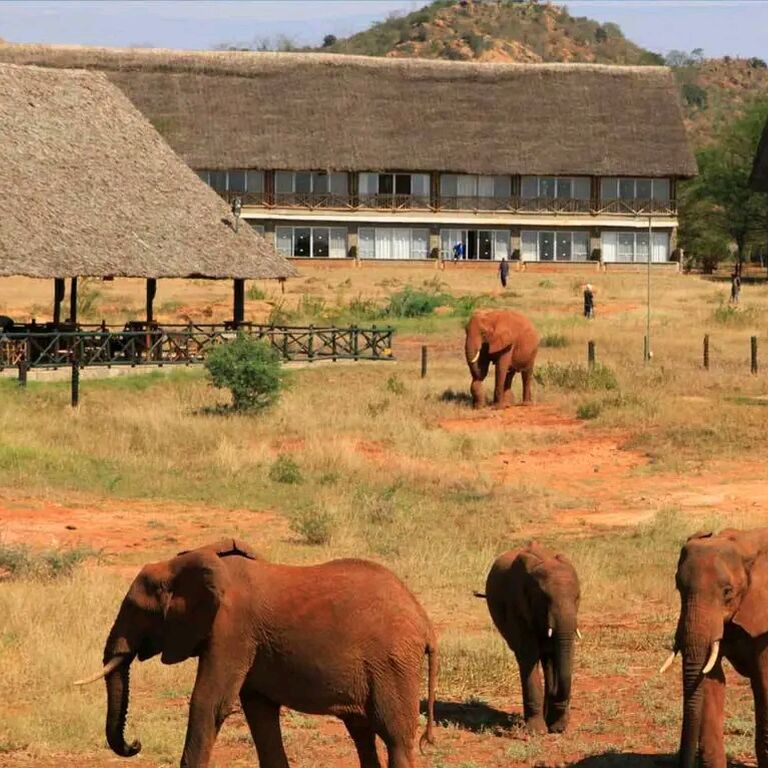 Bensal Tours and Travel