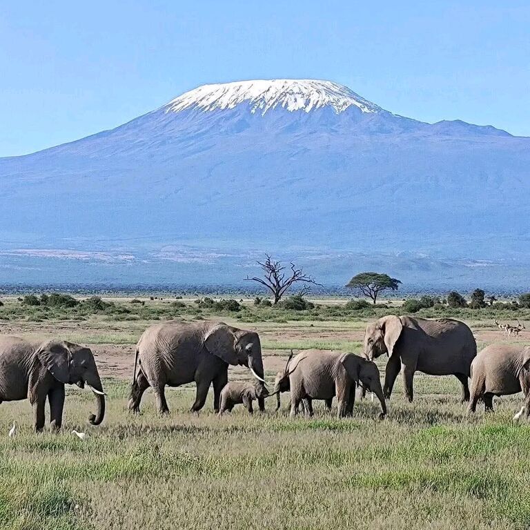 Bensal Tours and Travel