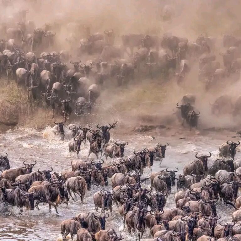 Bensal Tours and Travel