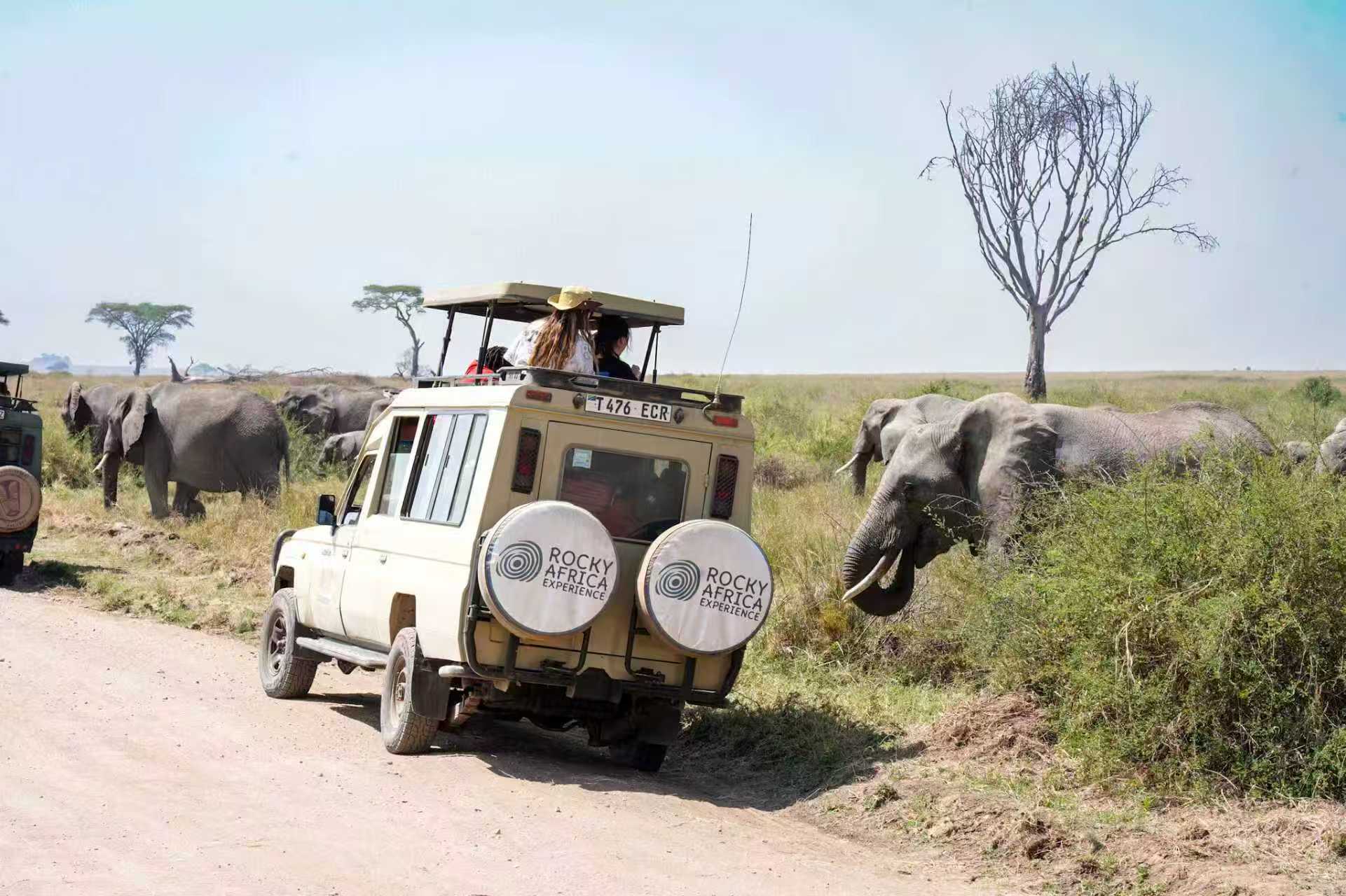 Tanzania Safari Adventures by Rocky Africa