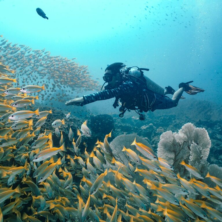 Blue View Divers