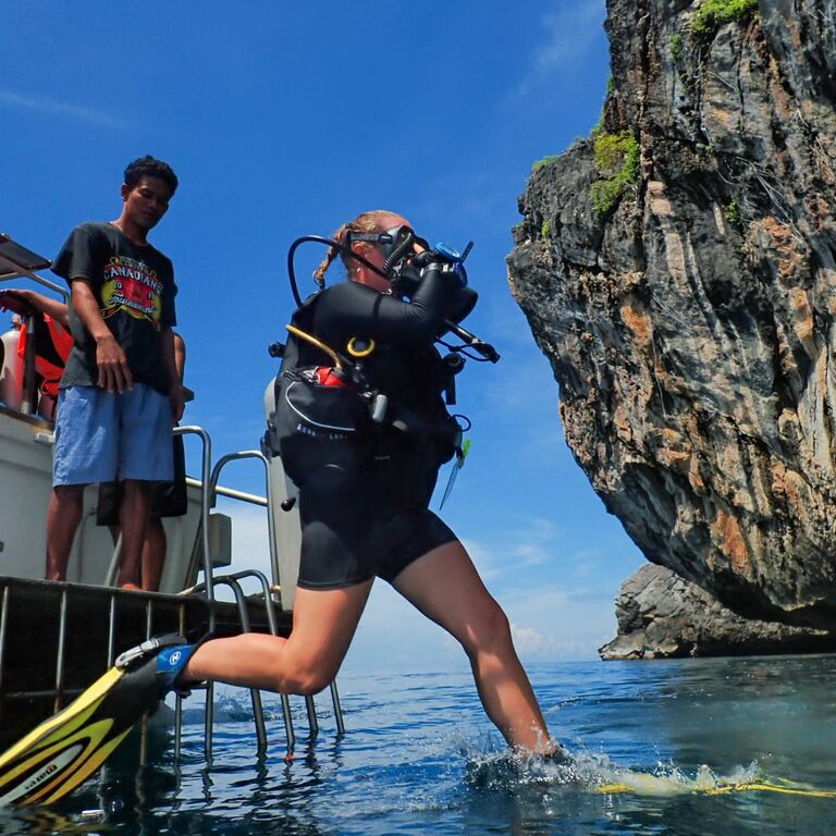 Blue View Divers