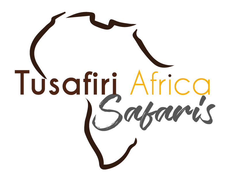 Tusafiri Africa safaris