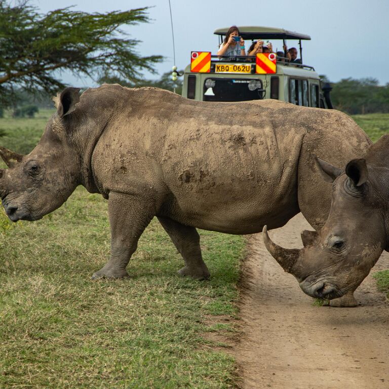 Tusafiri Africa safaris