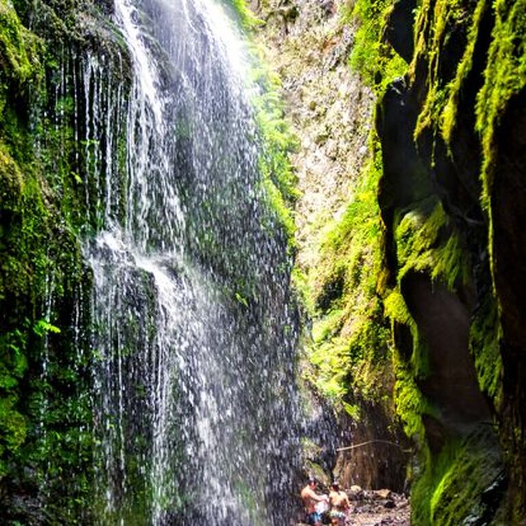 La Palma Freetours