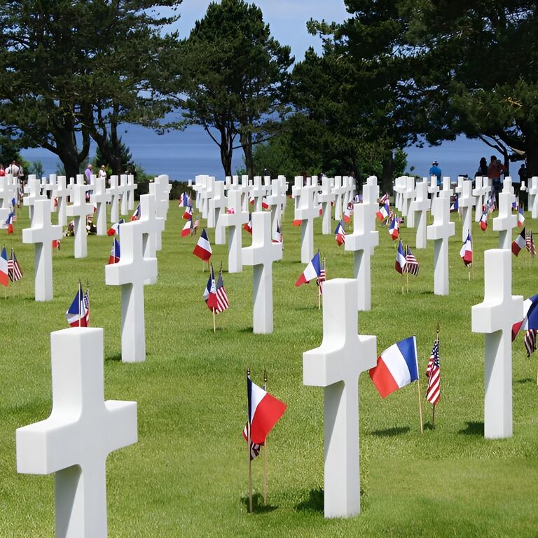 NORMANDY SHUTTLE DRIVERS