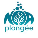 Noa Plongée