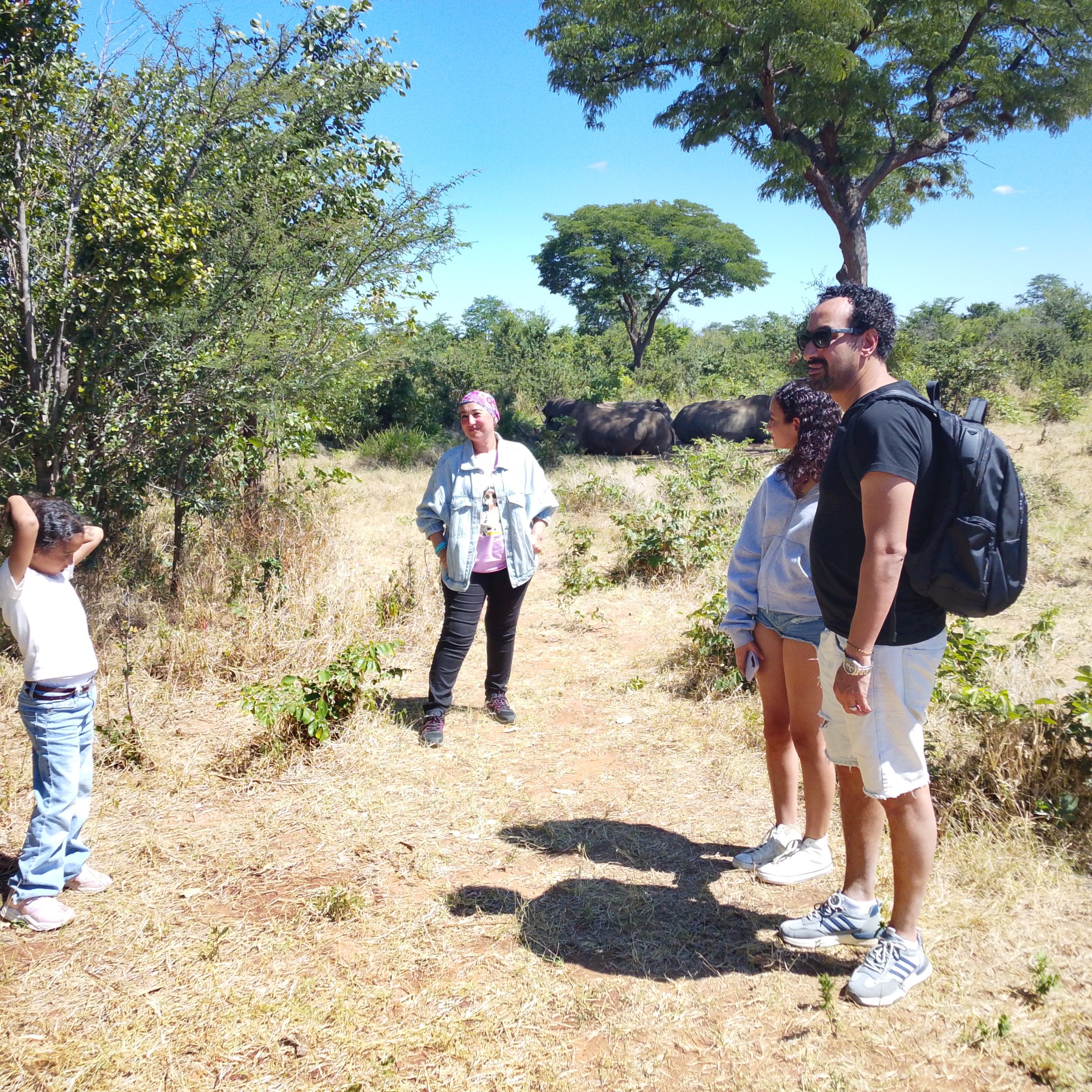 Wildbeestoursandsafaris