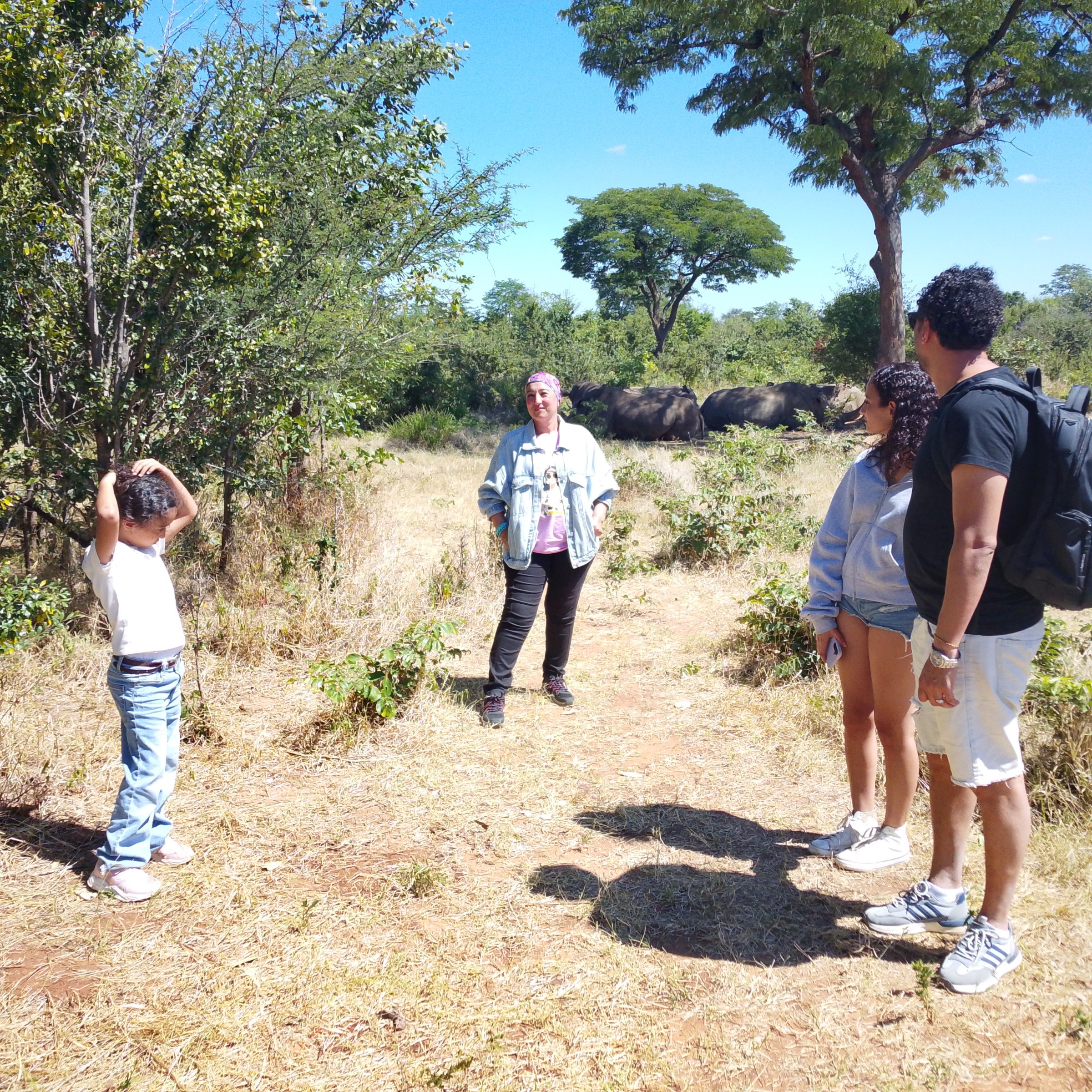 Wildbeestoursandsafaris