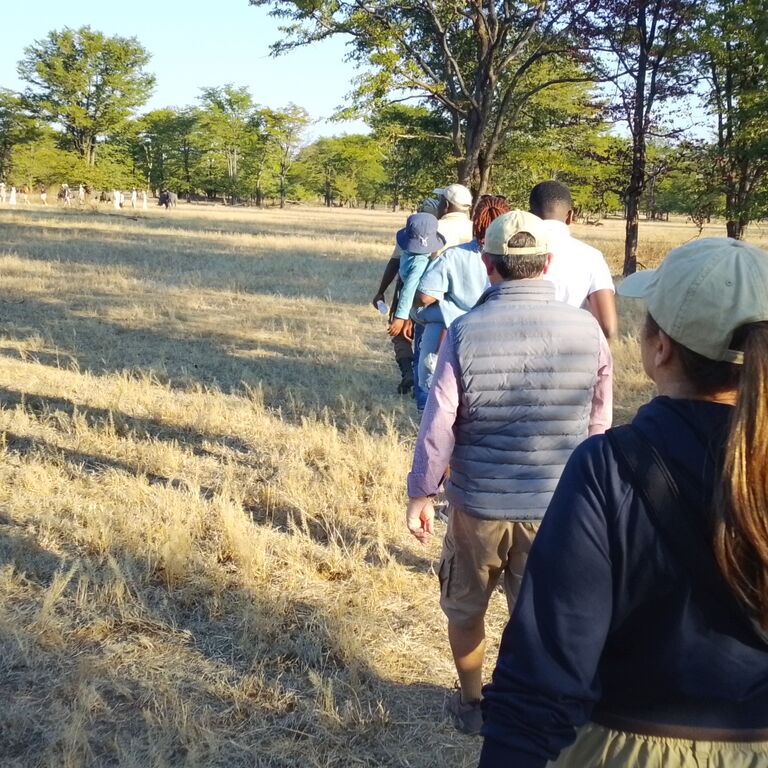 Wildbeestoursandsafaris