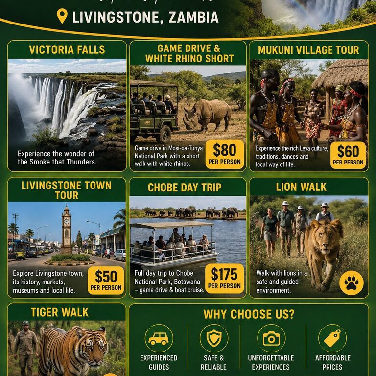Wildbeestoursandsafaris