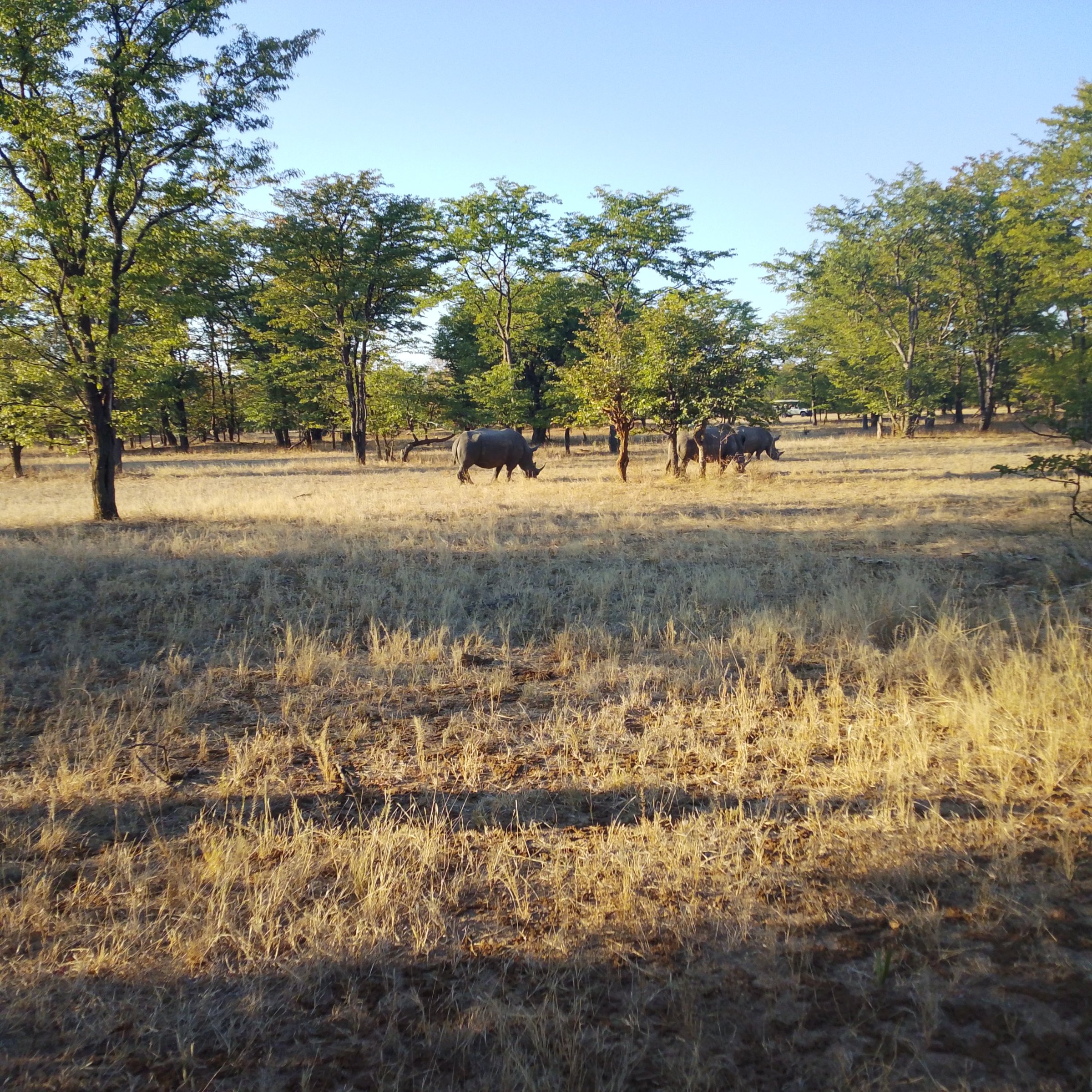 Wildbeestoursandsafaris