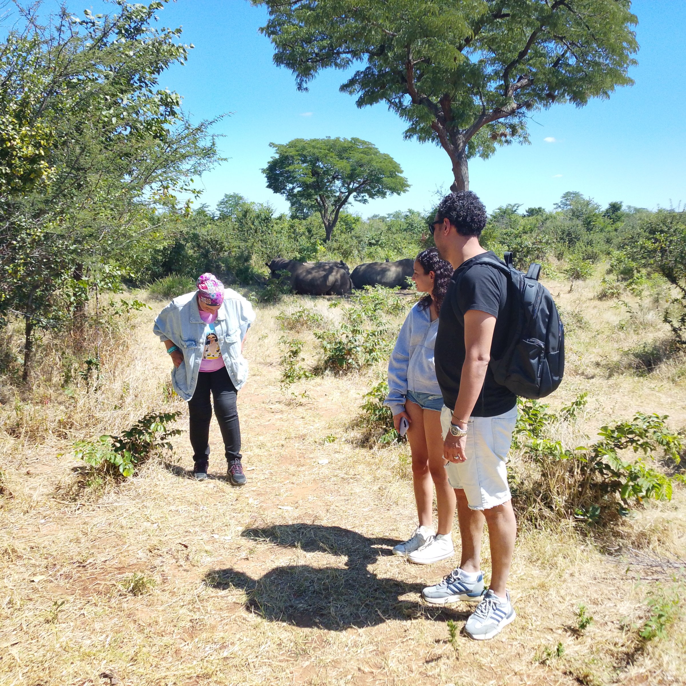 Wildbeestoursandsafaris