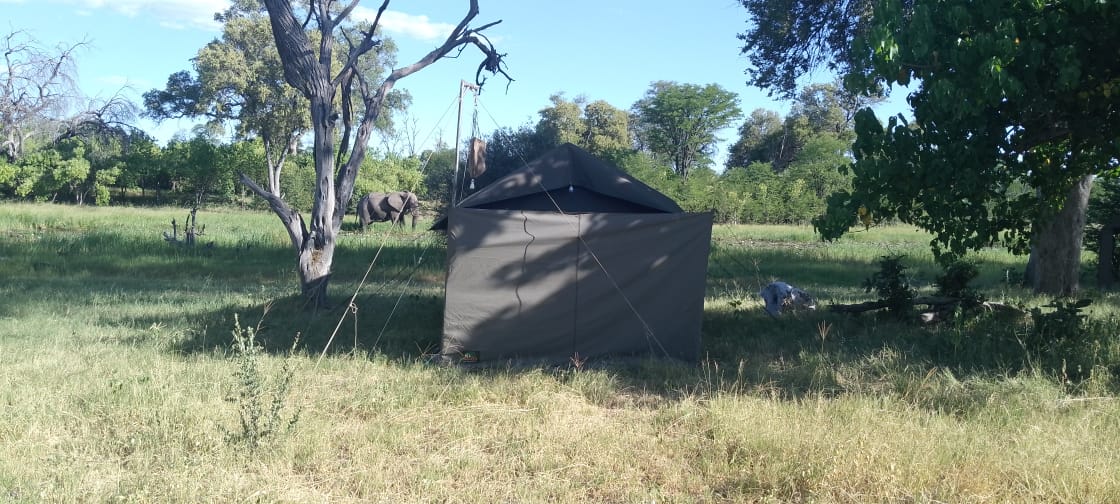 African Big Five Tours and Safaris