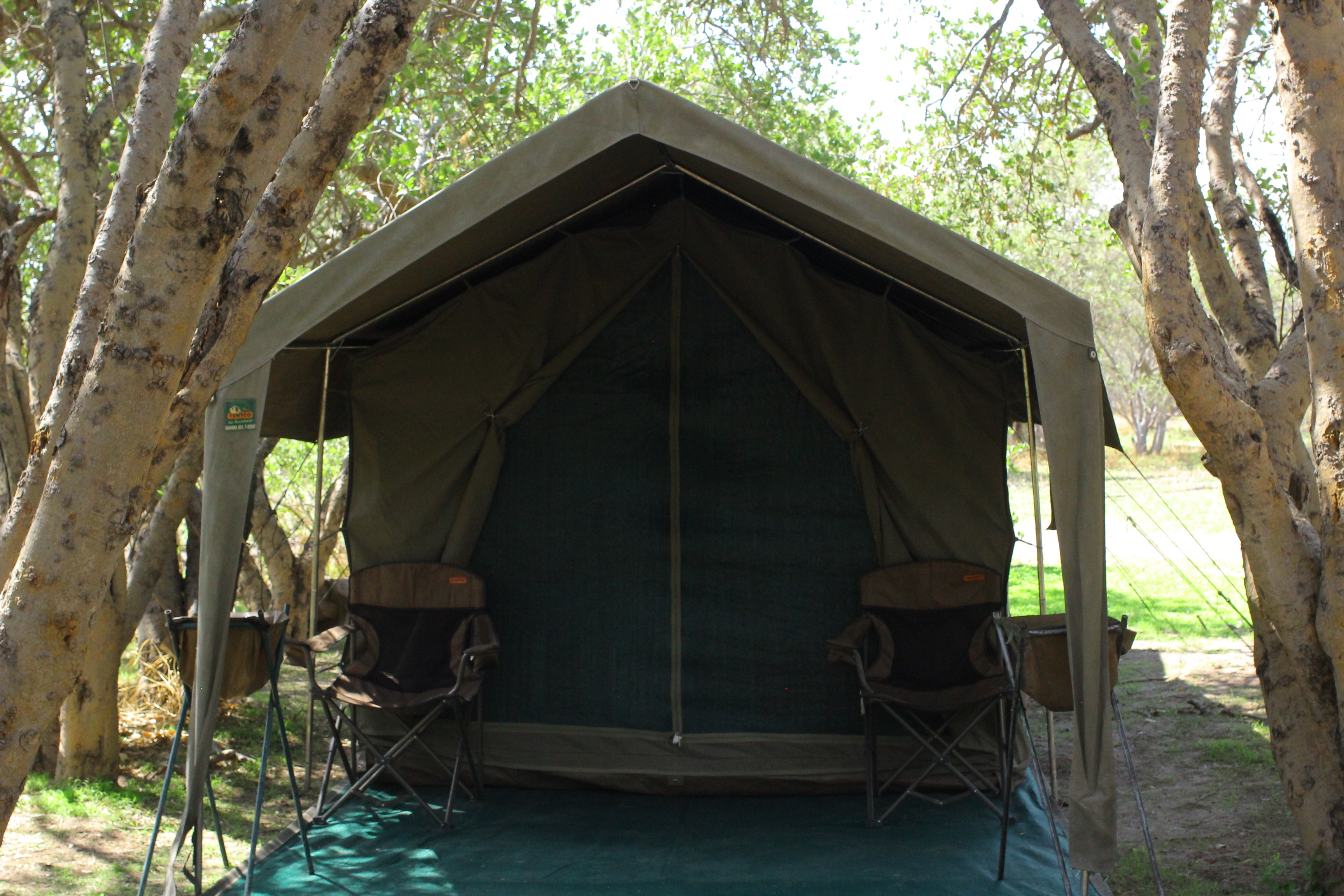 African Big Five Tours and Safaris