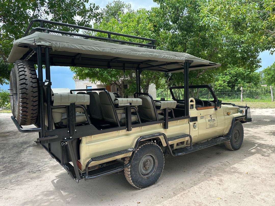 African Big Five Tours and Safaris
