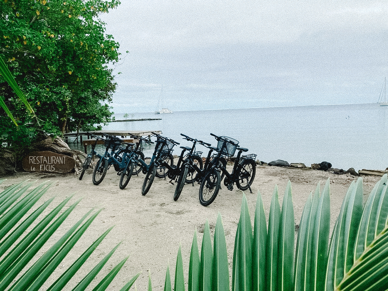 Tahaa Eco Tour