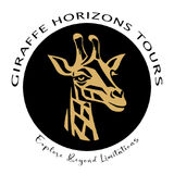 Giraffe Horizons