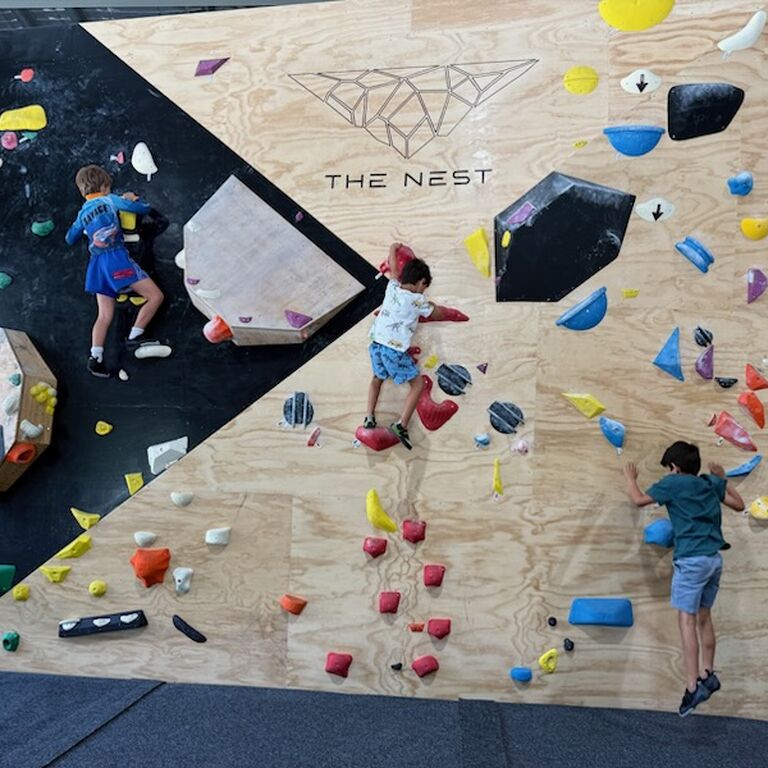 THE NEST CLIMBING GYM