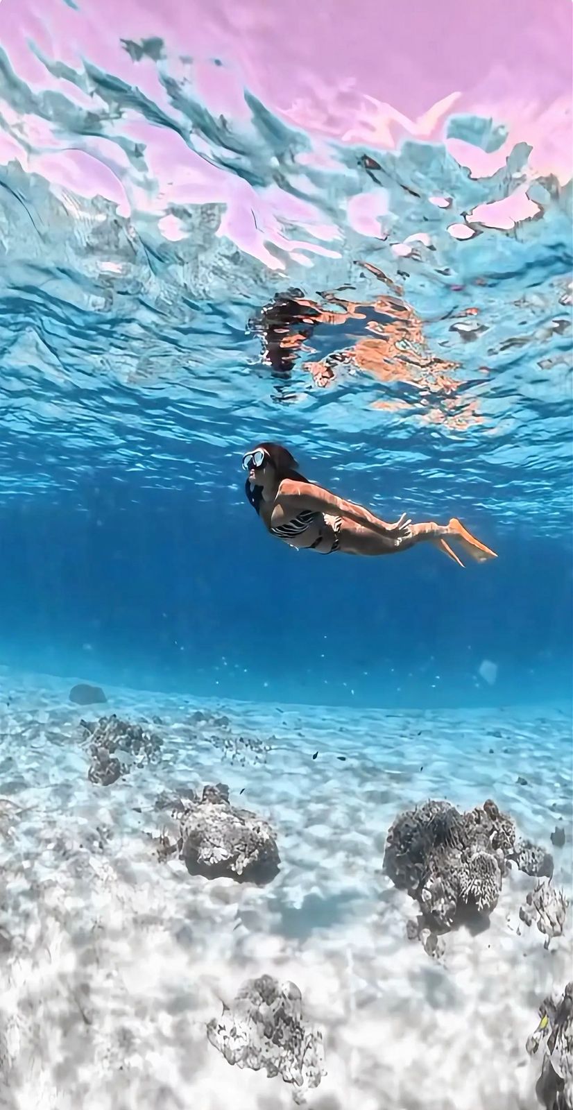 PT BALE LAUT INDONESIA