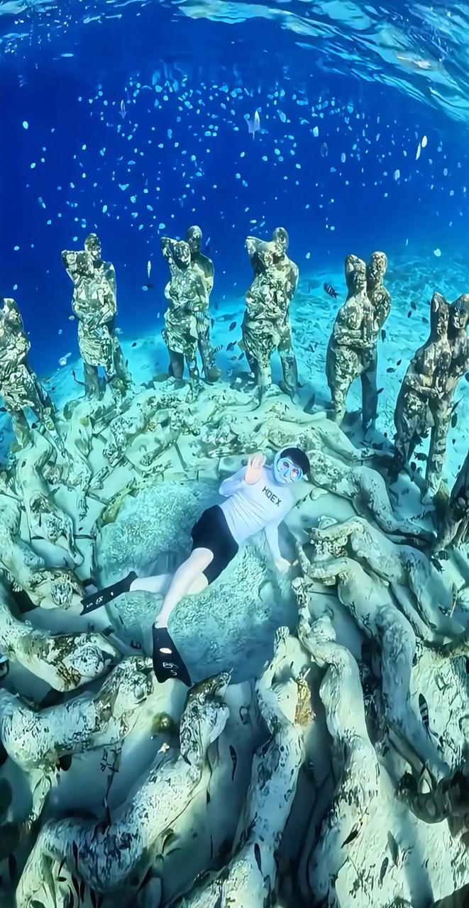 PT BALE LAUT INDONESIA