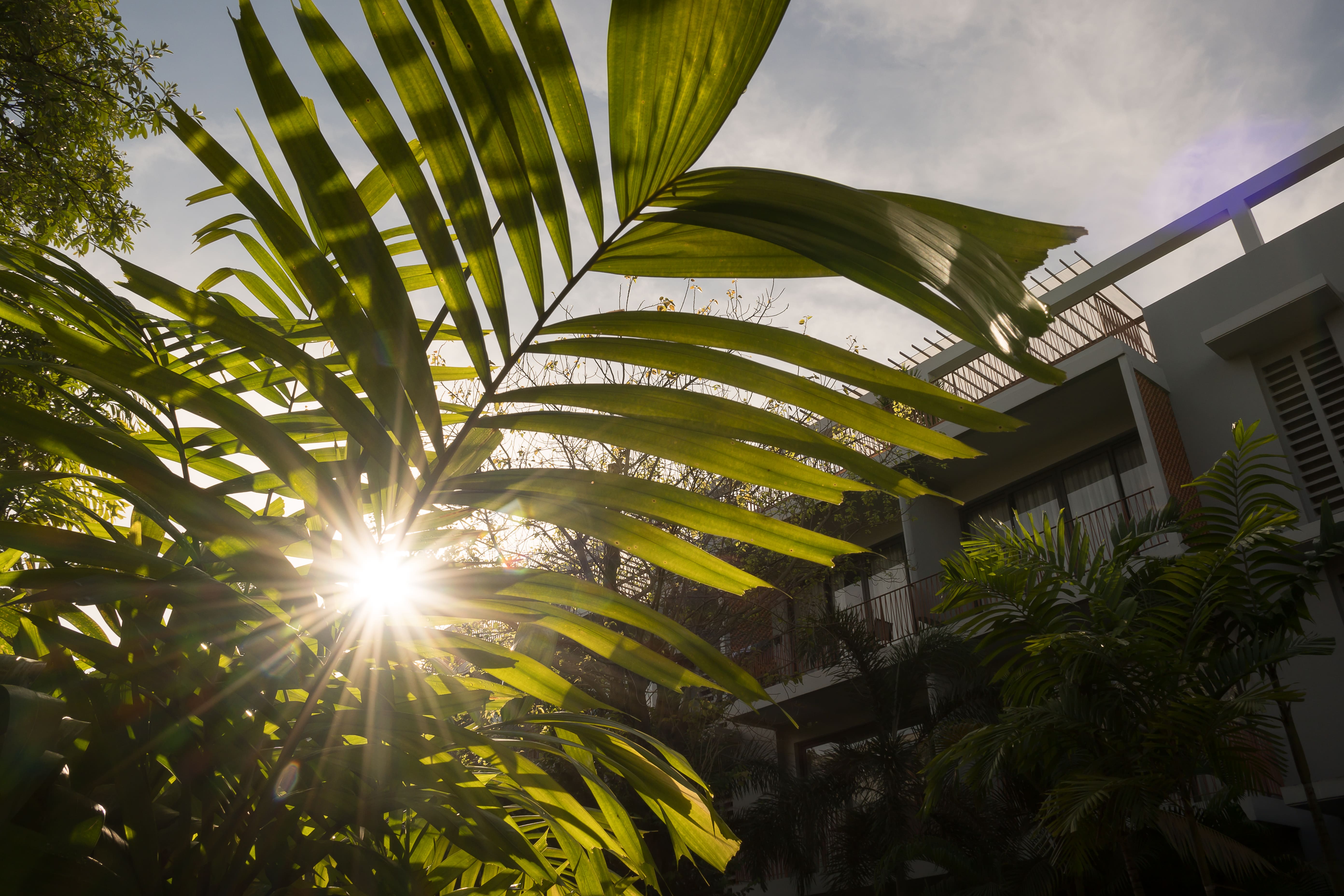 TUI BLUE Angkor Grace