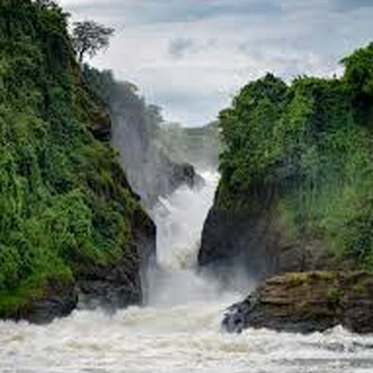 Gagan Tours Uganda