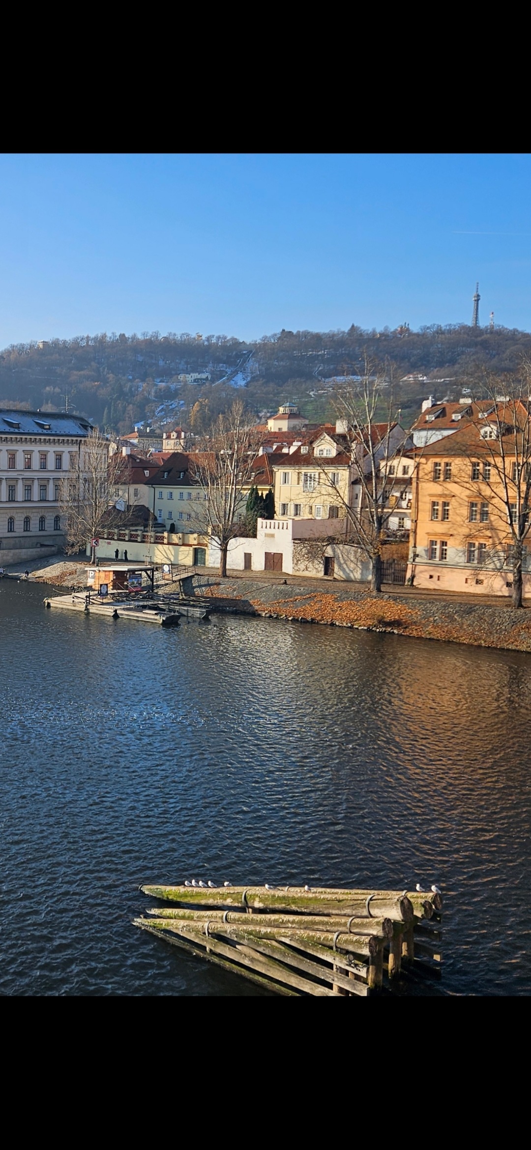 BOAT TRIPS & Dinner Cruises