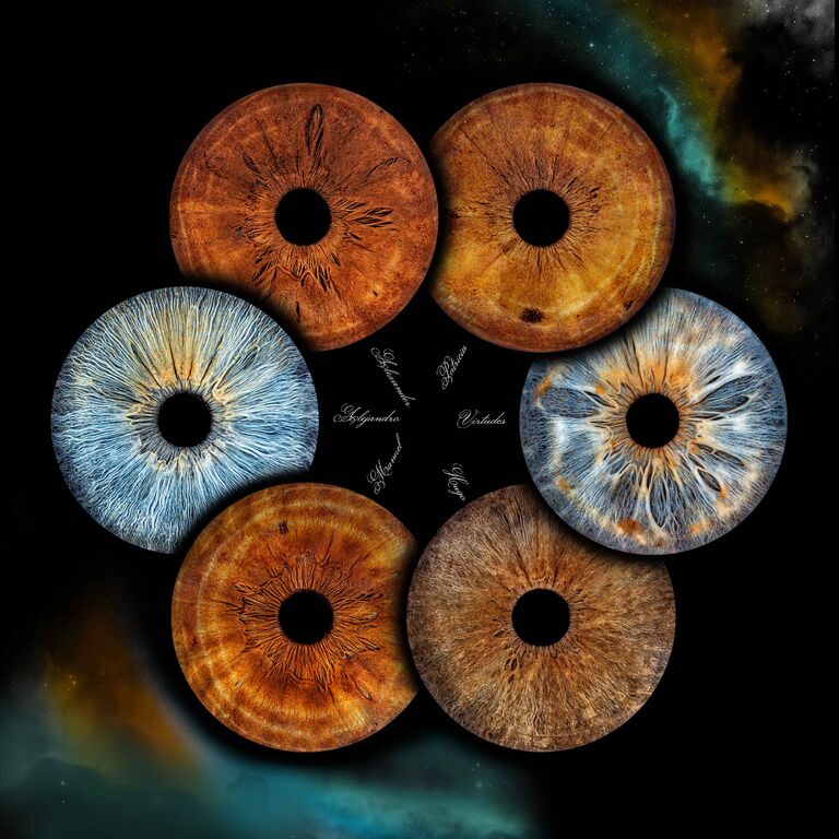 Iristellar