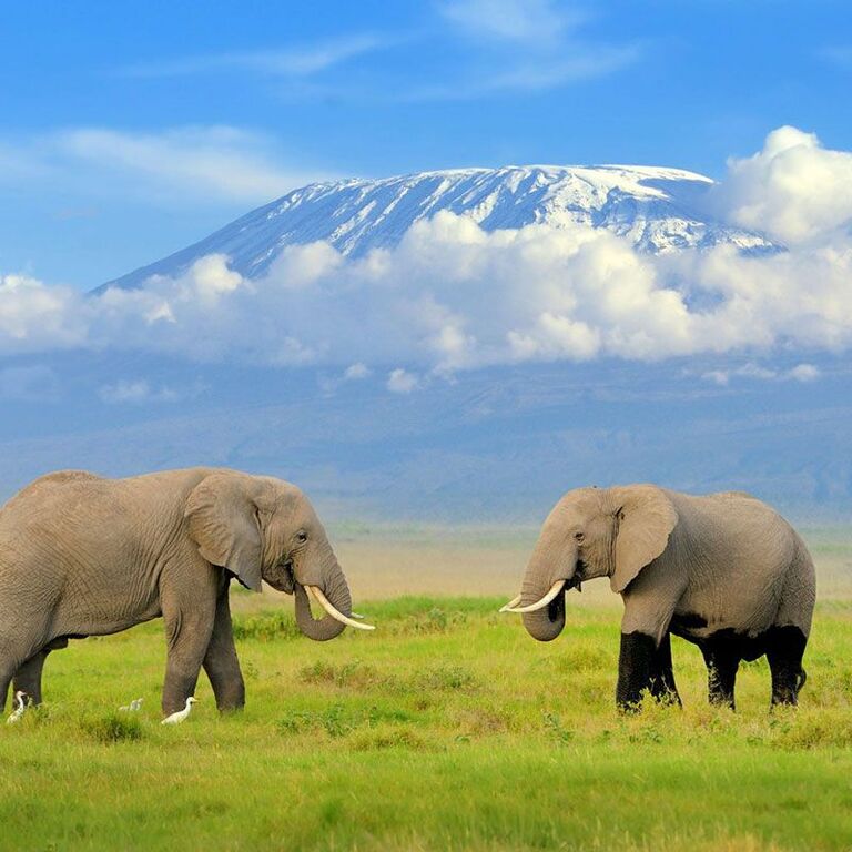 HIGH CLASS SAFARIS