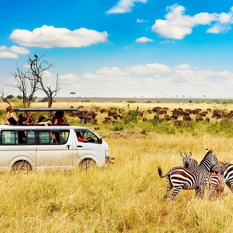 HIGH CLASS SAFARIS