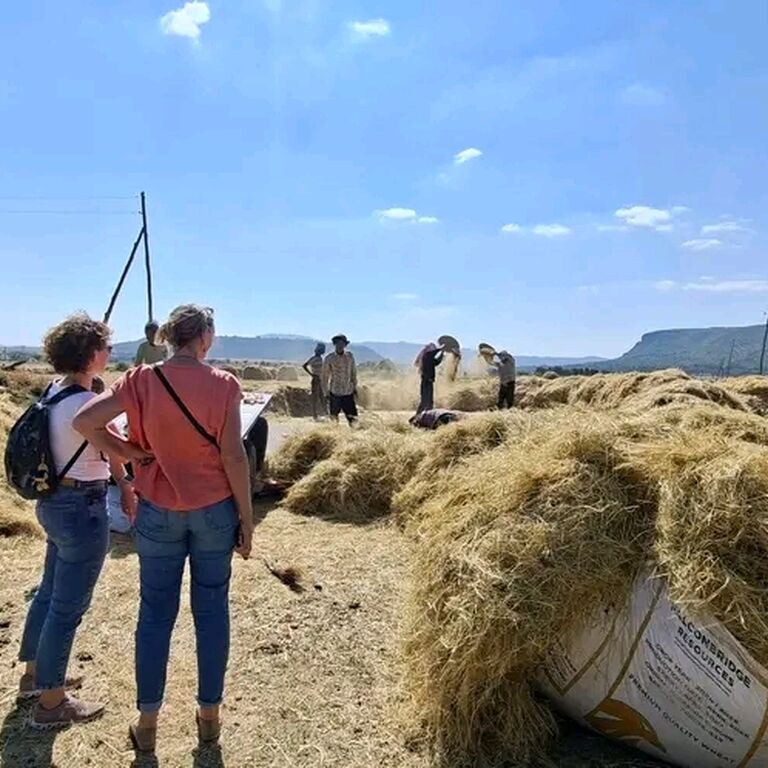 Ethio north trekking