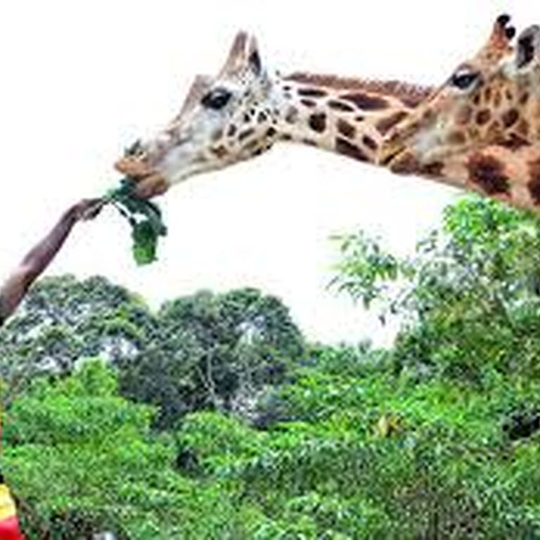 JRC Tours & Travel