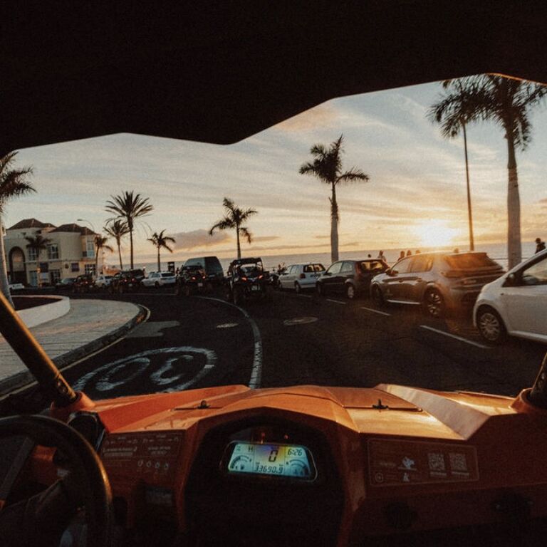 BUGGY PARADISE