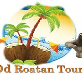 Dd Roatan Tour