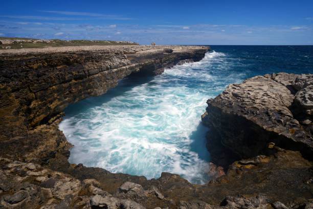 Go Antigua Travel & Tours