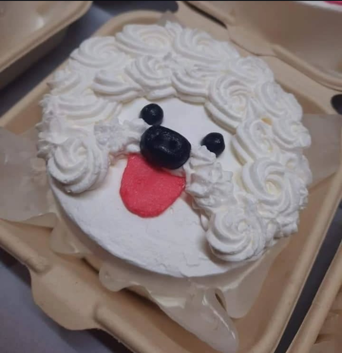 THE CAKE _ ARTS STORY