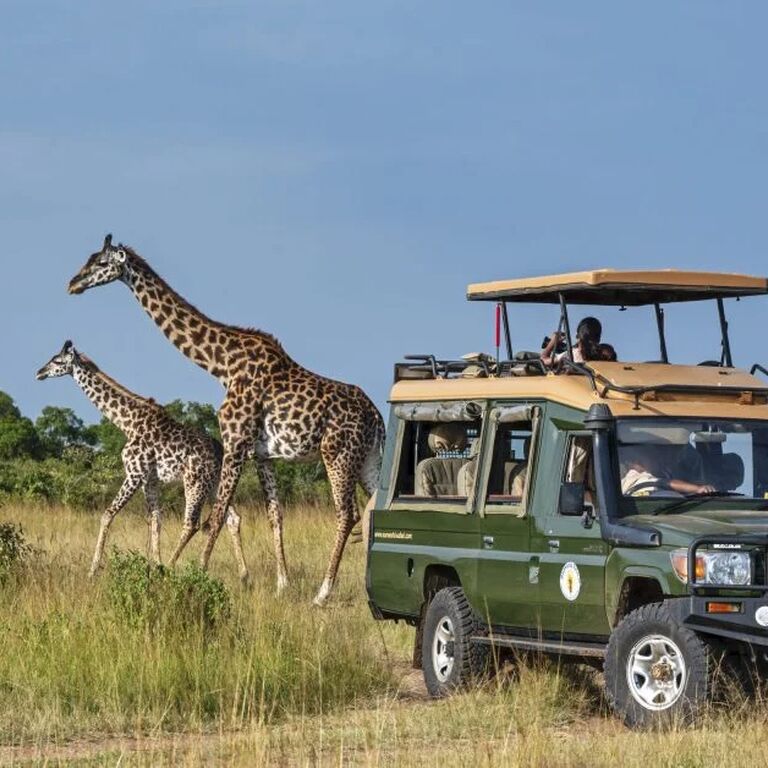Safari clásico africano en Kenia y Tanzania - 11 días