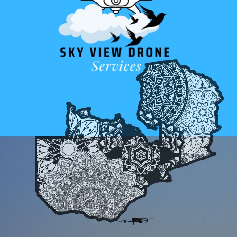 Sky View Drone Services